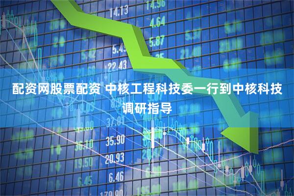 配资网股票配资 中核工程科技委一行到中核科技调研指导